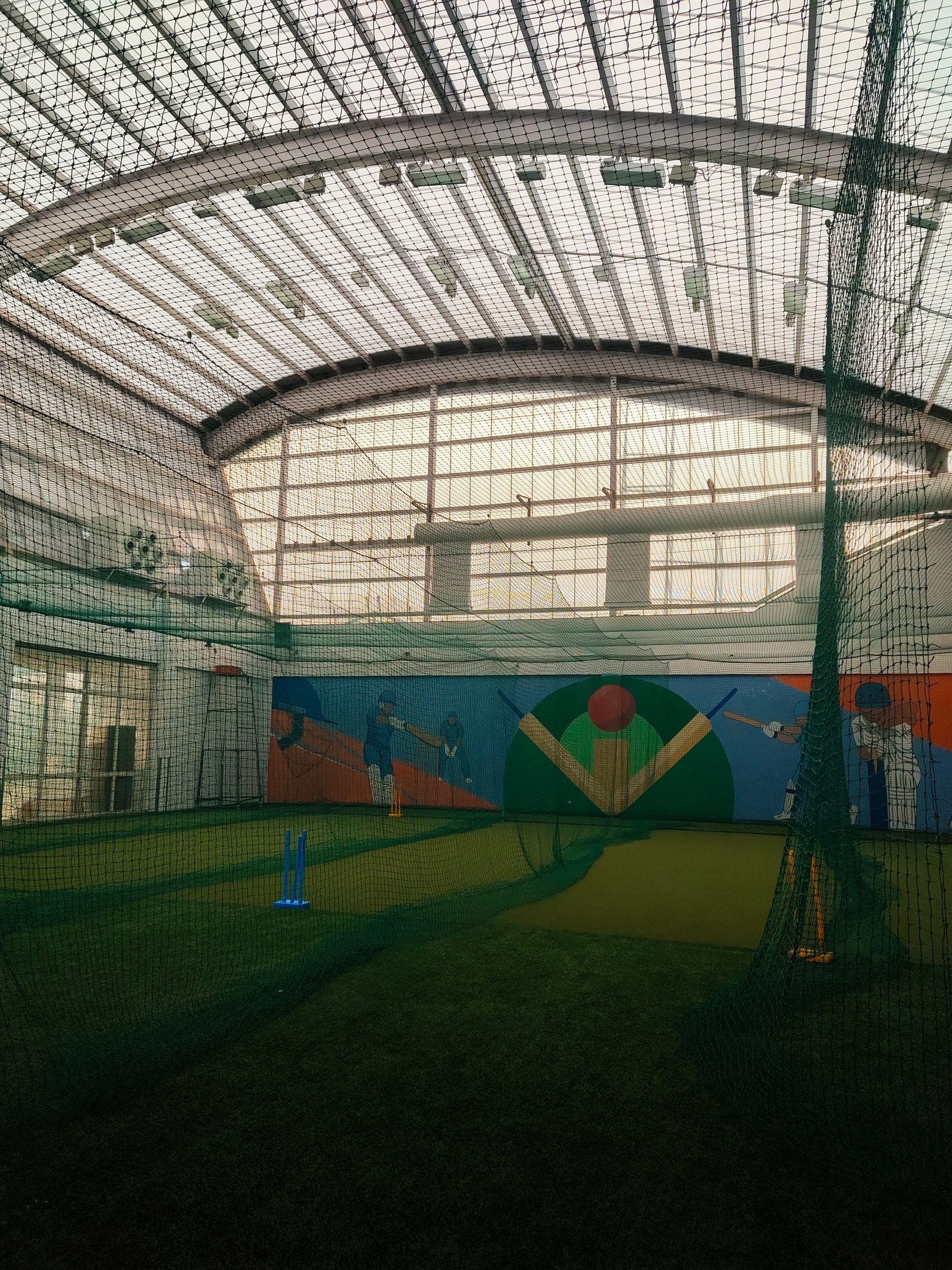 Cricket Turf
